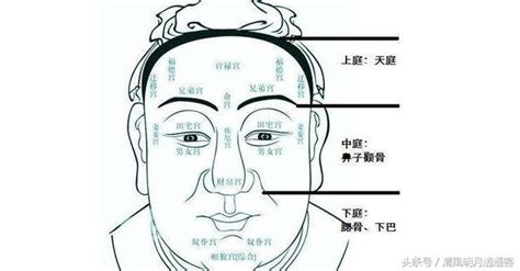 臉頰飽滿面相|面相解讀——額頭天庭